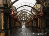 archidipasqua2014-sanbiagioplatani (17)