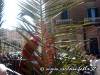 4-i-soldati-tengono-delle-palme