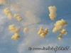 santonio2012-gravina-66