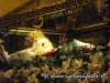 sfortunata2012-baucina-38