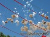 sgiovannibattista2012-sangiovannigalermo-19