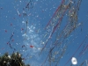 sgiovannibattista2013-sangiovannigalermo-11
