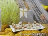 sgiuseppe2014-leonforte (24)