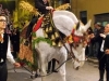 sgiuseppe2014-scicli (17)