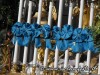 smariadellegrazie2012-cibali-11