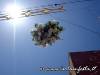 13-scorcio-di-alcuni-mazzetti-di-fiori-poste-nelle-illuminazioni-della-via-roma-per-il-passag