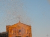 smariadellavisitazione2013-enna-86