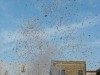 smariadiognina2012-ognina-12