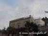 smariadiognina2013-ognina-9