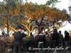 ssebastiano2012-acireale-87