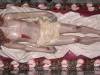 19-v-mistero-il-cristo-morto